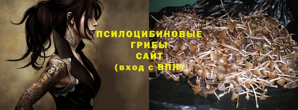 ПСИЛОЦИБИНОВЫЕ ГРИБЫ Балахна