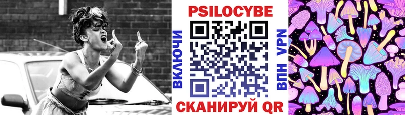 Псилоцибиновые грибы прущие грибы  Гороховец 