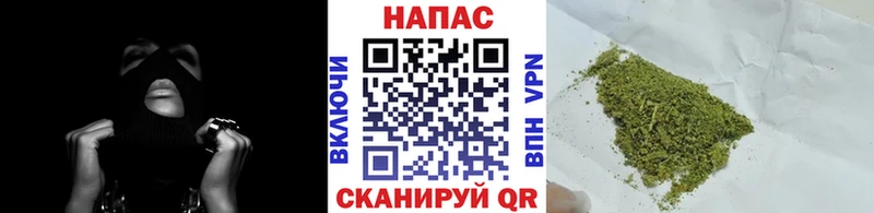 shop Telegram Гороховец Каннабис марихуана